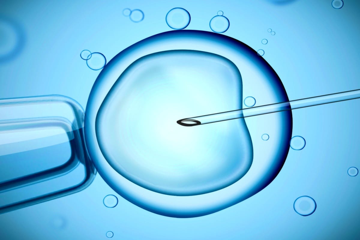 IVF - Om In Vitro-fertilisering och blodprov