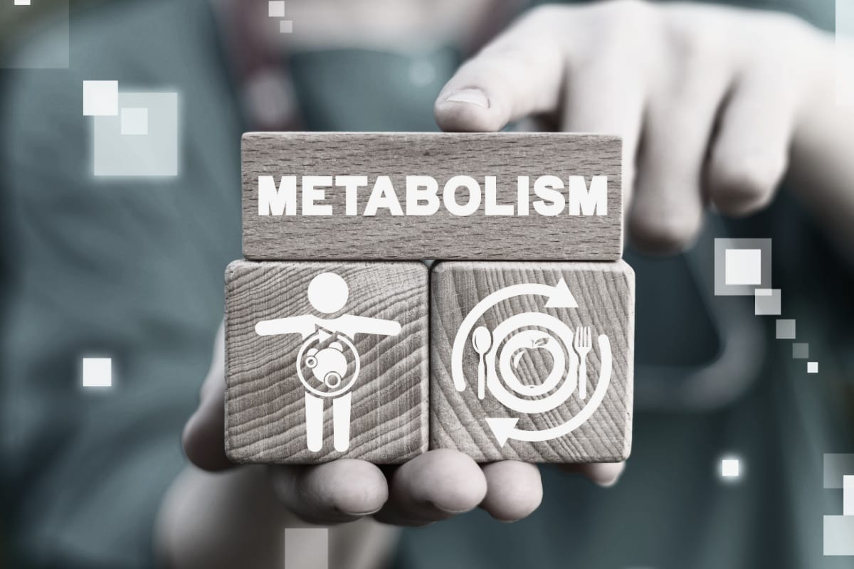 Metabolism, ämnesomsättning och metabol hälsa